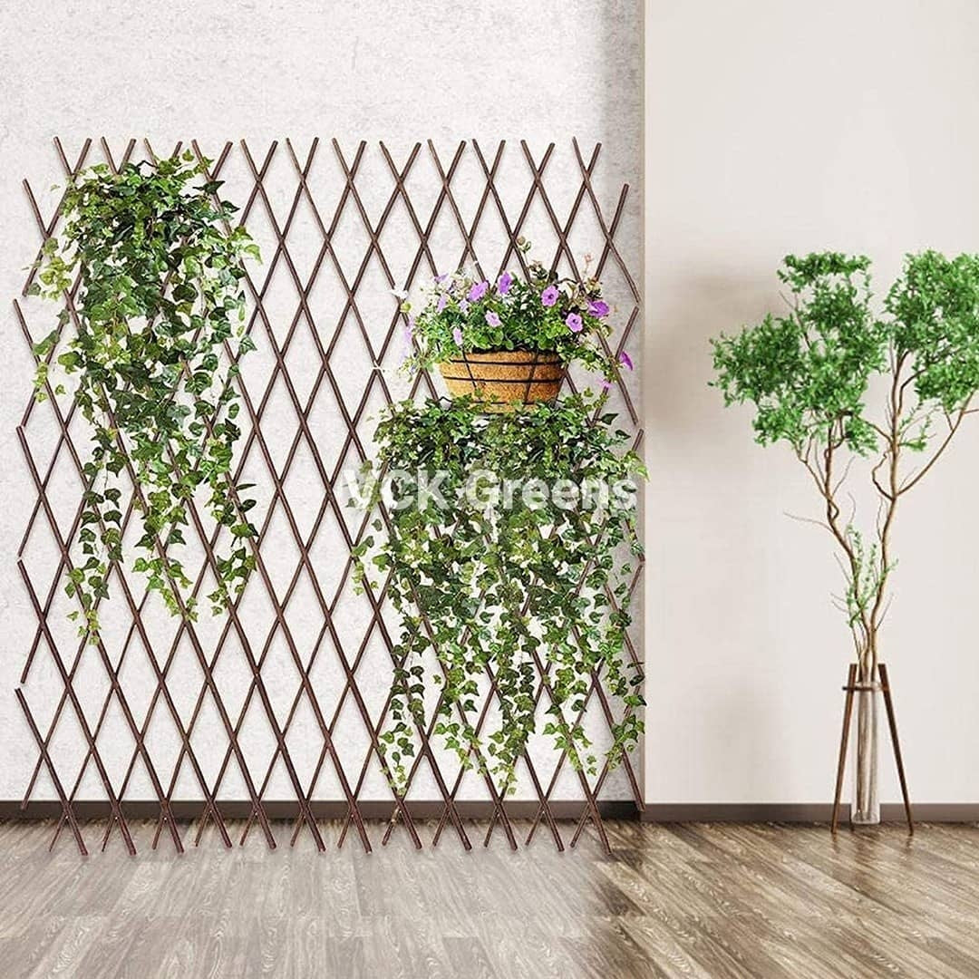 Wooden Climber Trellis (Brown, 1Pc, 21sqft)